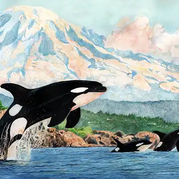 Colored Pencil by Duane de Lessart - de Lessart Studio